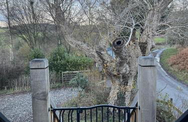 Upper Gelli Luxury Holiday Lodge, Converted Dairy & Cosy Shepherds Huts - Photo 39