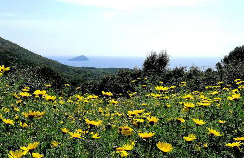 Agriturismo Glamping Erbe Matte - Foto 14