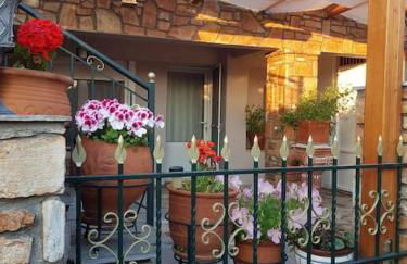 IslandTime Studio1 - Photo 2