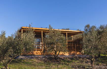 Le Fraine - Agriturismo & Olives Glamping - Foto 60