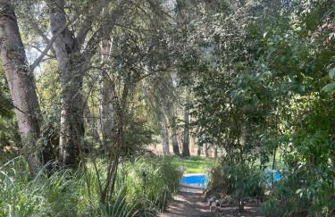 El Duende Casa Rural - Foto 53