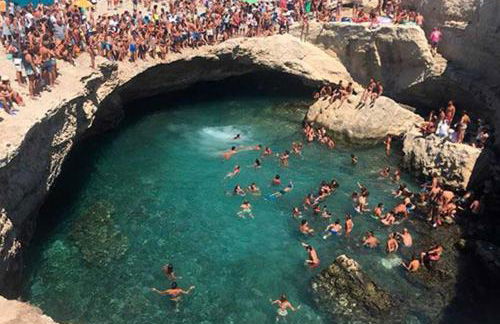 LaChorisia - Foto 43