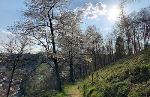 Luxusapartment Burgschänke - Foto 9