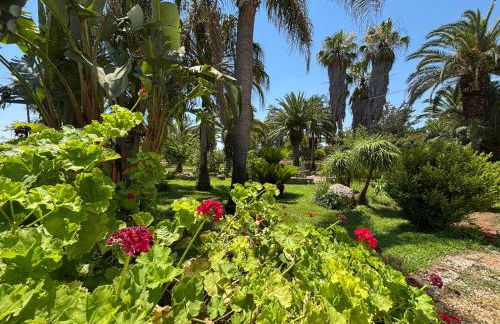 Nonna Maria - Foto 13