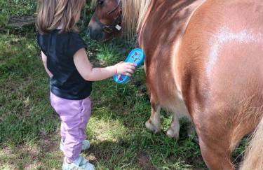 La Garance voyageuse - Photo 8