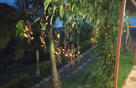 Aconchego da Montanha - chalé - Foto 6