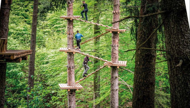 Climbing the trees in Adventure Park Interlaken