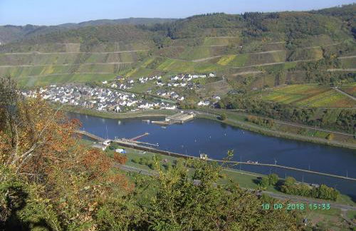 Moselblick - Foto 20
