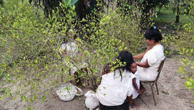 Excursion dans une communauté indigène Kogui - Photo 2, Femmes de la communauté indigène Kogui
