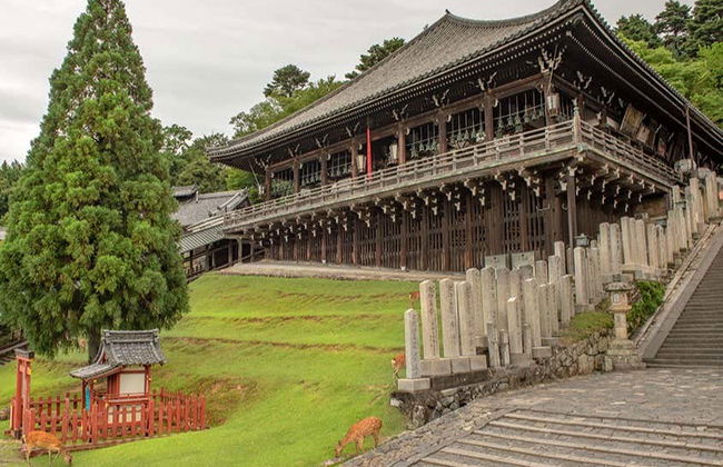 Free tour por Nara - Foto 6