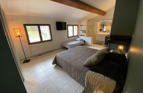 Maison de famille (piscine, jacuzzi et sauna) - Foto 20