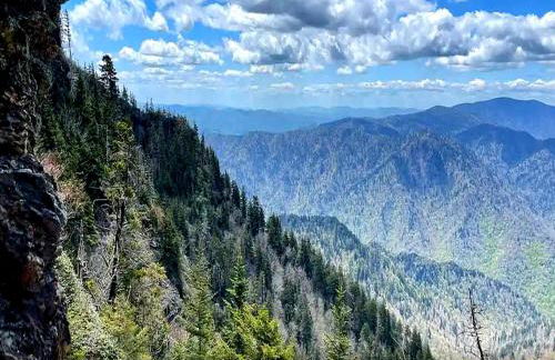 Golf View Resort by Jackson Mountain Rentals - Foto 62