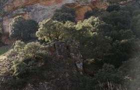 Casas Rurales Cortijo Bellavista - Foto 43