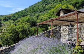 Borgo Selvapiana - Photo 56