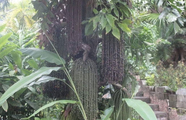 Bahay Isla Sanctuario - Foto 32