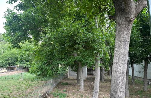 Stymfalia Cozy Village Guesthouse - Foto 28