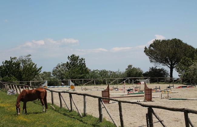 Agriturismo Piccolo Paradiso - Foto 41