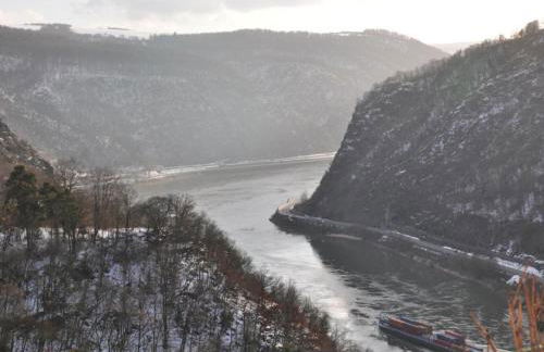 Holiday Home by Rhine Near Burg Maus - Foto 79