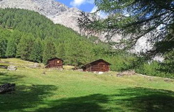 Anemone Home - Foto 16