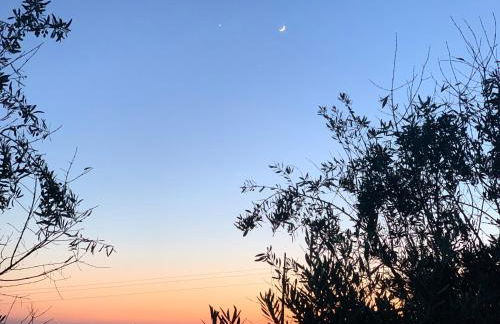 Casa 1-Quinta dos Penedos - Foto 45