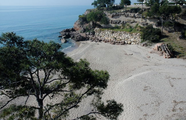 Casa Palmeras IV - Photo 43