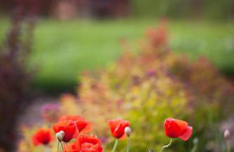 Villa Apia - Foto 30