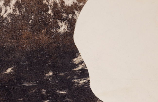 OFFICINE CAVOUR Casa dei Leoni - Foto 6