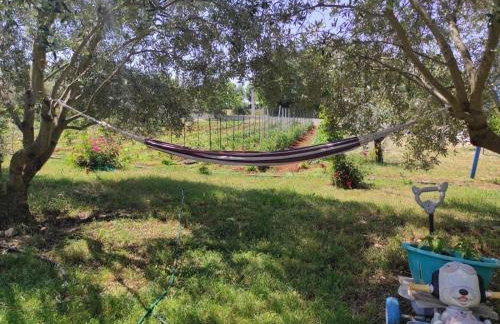 Apartment Danica - Photo 9