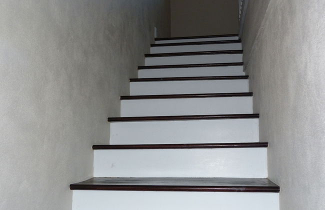 Taste of Paradise - Foto 70