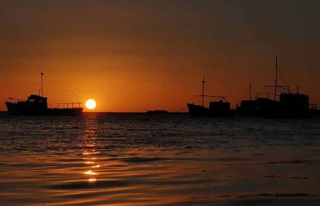 Paseo en barco al atardecer - Foto 6