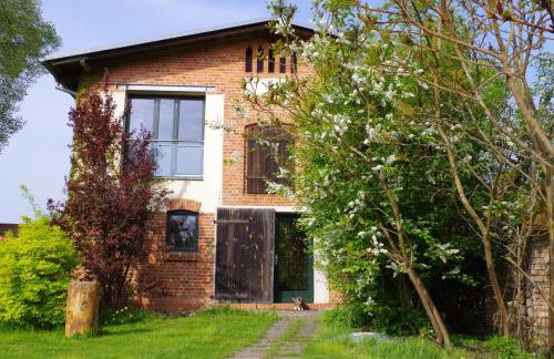 Haus am See in Kleinzerlang - Foto 27