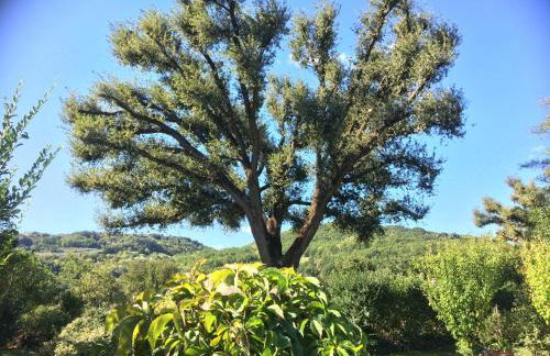 Casale Eredità - Foto 70