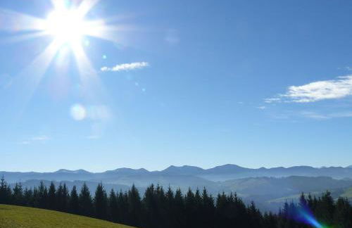 Ferienclub Maierhöfen - Foto 39