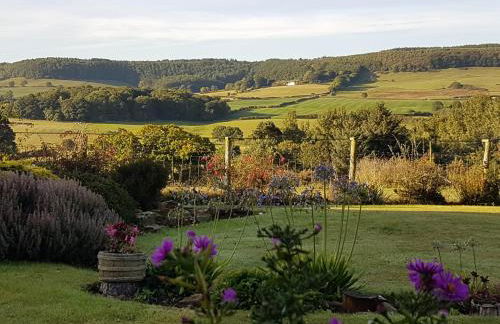 Woodpeckers Cottage - Foto 26