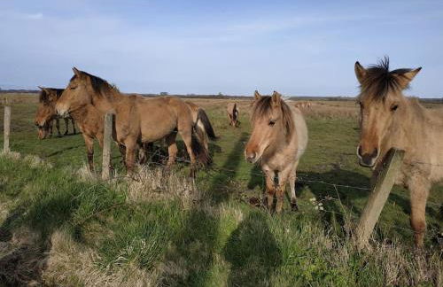 Gîte Les amoureux de la Baie - Foto 23