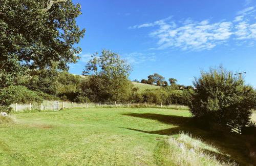 Llwyn Llwyd Cottage - Photo 21