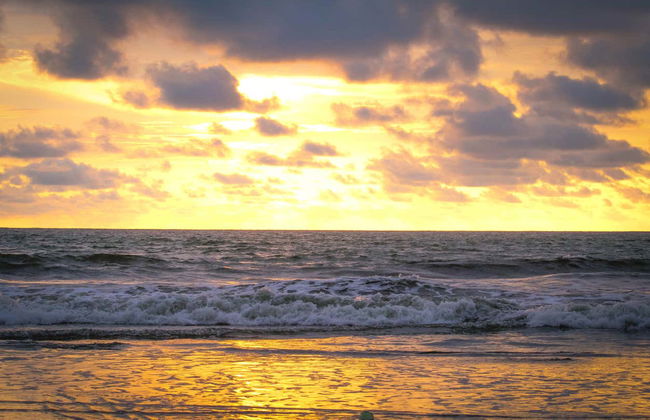 Excursion dans la baie de Malaga - Photo 5