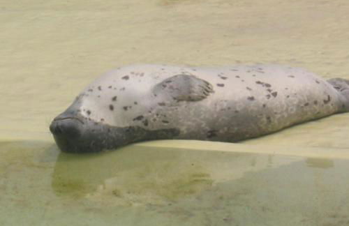 Friesenhof - Foto 27