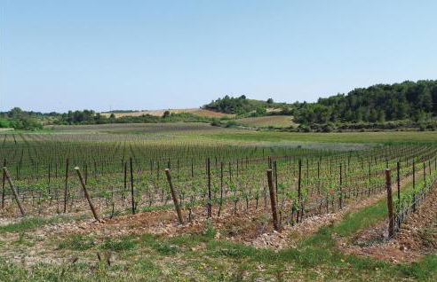 Cozy Home In Thezan-Les-Béziers - Foto 33