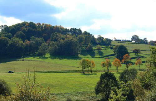 Wohnung in Waldnähe - Foto 25