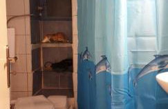 Lefki's house - Photo 11