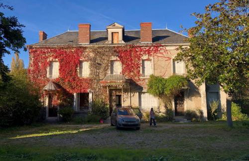 Gîte Manoir du moulin près du zoo de Beauval et les châteaux de la Loire - Foto 1