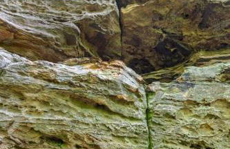 Beech Timber- 30 Acre Secluded Glamping in RRG - Foto 31