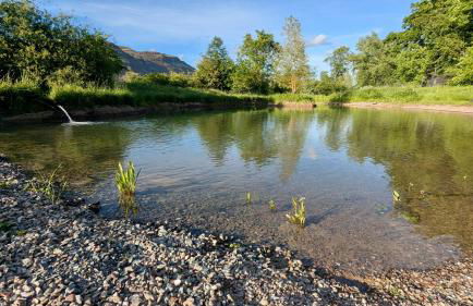 Shepherds Hut on tranquil Powis House Estate - Foto 19