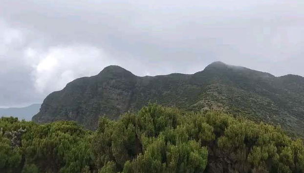 Trekking por el bosque de Kimakia - Foto 4, Paisajes de la naturaleza de Muranga