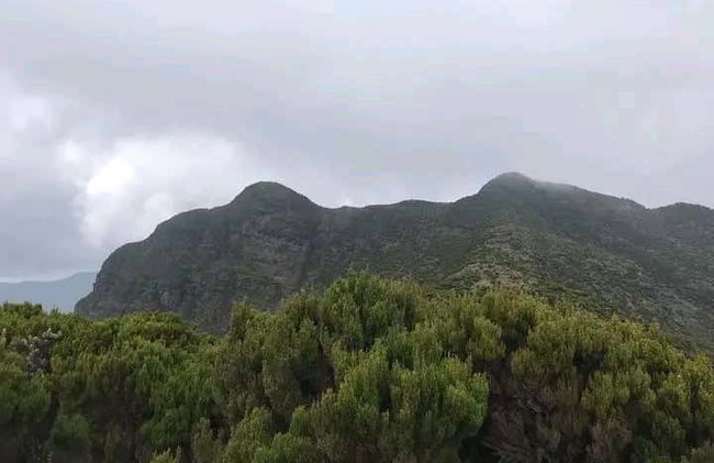 Trilha pela floresta de Kimakia - Foto 4