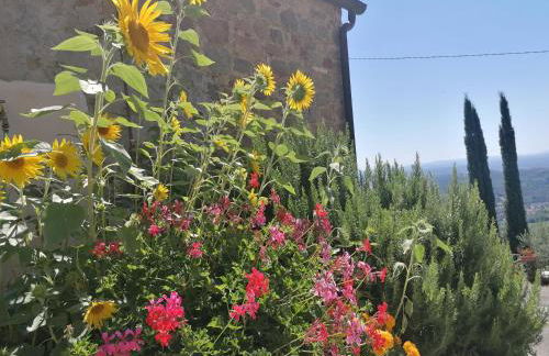 Casa Teresina - Foto 20