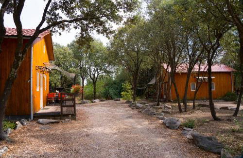 GITES de Plos Appart CHALET PISCINE SPA - Foto 1