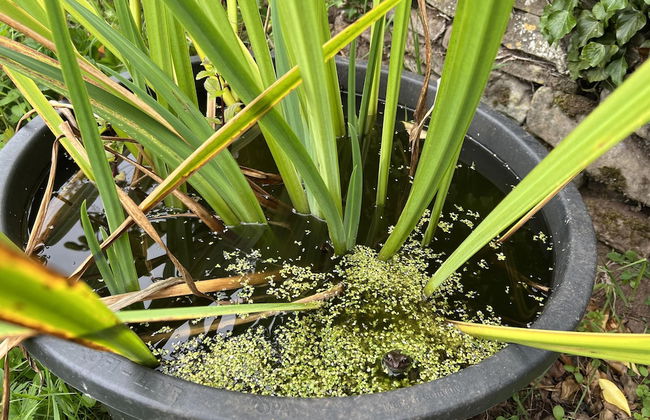 Luxury Shepherd's Hut Style Cabin With Views - Photo 29
