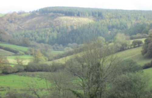 Danygraig Cottage - Foto 14